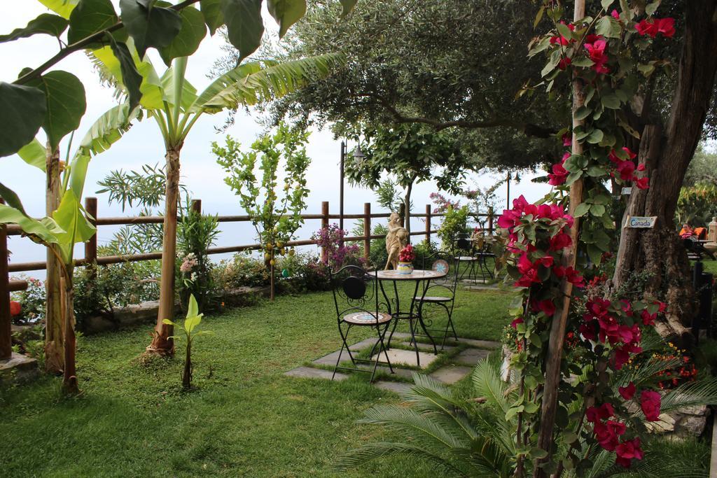 World Center Bed and Breakfast Amalfi Eksteriør billede
